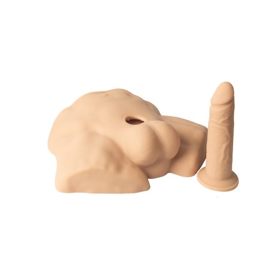SilexD Apollo S Half Male Torso Caramel