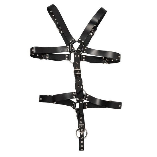 Zado Harness