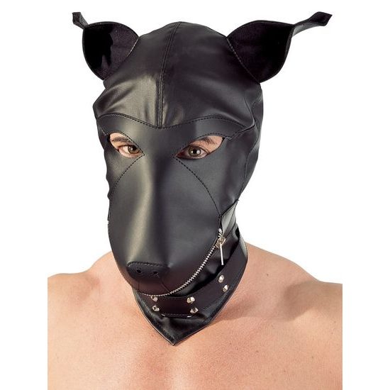 Mask dog