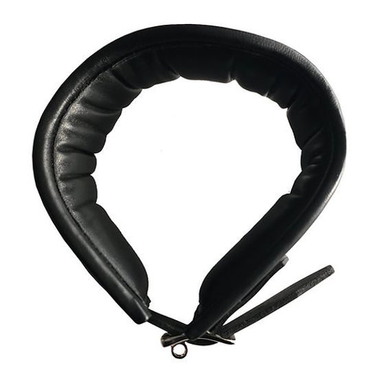 Rouge Leather Posture Collar