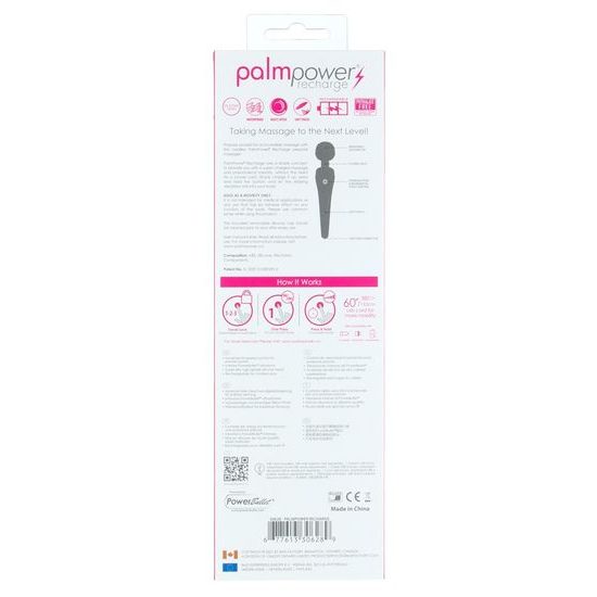 PalmPower Recharge Wand Massager