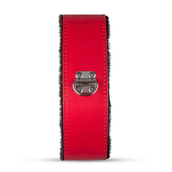 Комплект за BDSM Secret Pleasure Chest