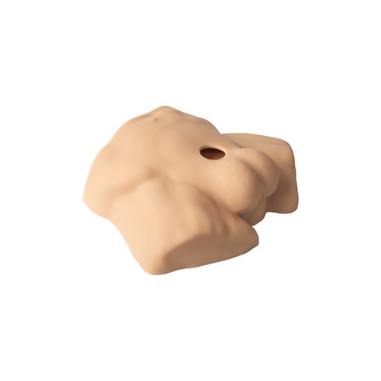 SilexD Apollo S Half Male Torso Caramel