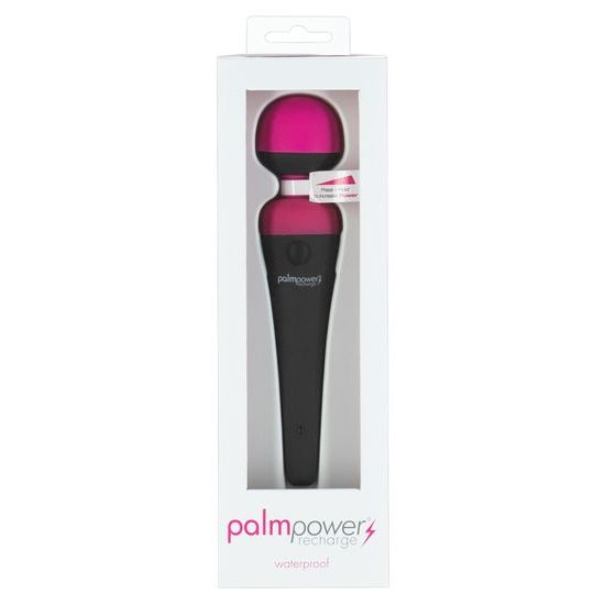 PalmPower Recharge Wand Massager