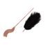 Rosy Gold - Feather Tickler & Whip