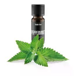 Stadler Form esenciální olej do difuzéru Peppermint 10 ml