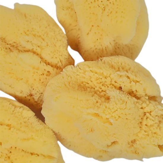 Adonis, mycí mořská houba SILK - průměr 9-10 cm