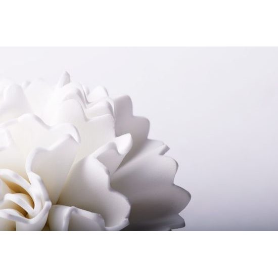 Adonis, Mycí houba Elle, bílá