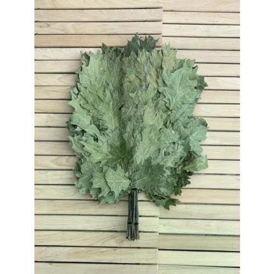 Evei, saunová metlička červený dub