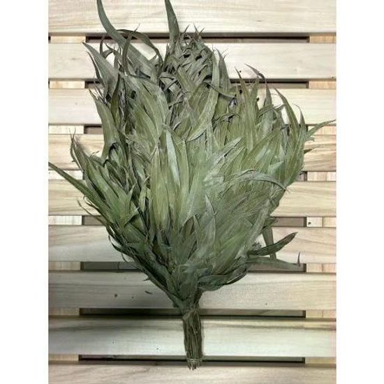 Evei, saunová metlička eukalyptus