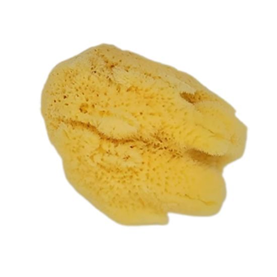 Adonis, mycí mořská houba SILK - průměr 9-10 cm