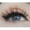CLOUD VIOLET Coloured Contact Lenses
