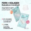 ANUA PDRN Collagen Melting Patch For Neck (4 pcs)