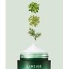 LANEIGE Noční pleťová maska Cica Sleeping Mask (60 ml)