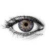 MONET BLACK Coloured Contact Lenses
