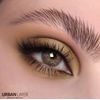 MONET BROWN Coloured Contact Lenses