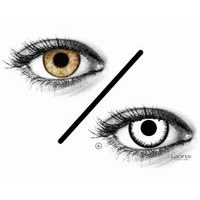 Lentilles Correctrices Colorées et Halloween