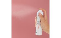 THE SAEM Kompaktni fiksirni puder Saemmul Perfect Pore Pact