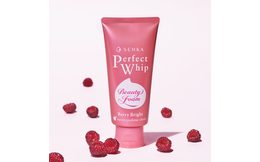 SHISEIDO FINO Premium Touch Hair Mask (230 g)