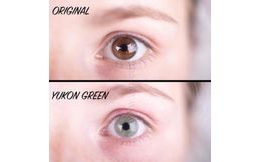 Barevné čočky (2 čočky) Yukon Green