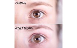 Barevné čočky (2 čočky) Itself Brown