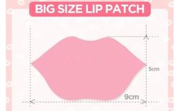 VT REEDLE SHOT Lip Plumper Expert (4,3 g)