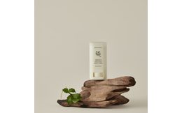 BEAUTY OF JOSEON Opalovací tyčinka Matte Sun Stick Mugwort + Camelia SPF50+ PA++++ (18 g)