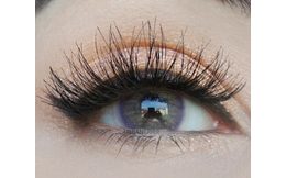 AMAZON VIOLET farbige Kontaktlinsen