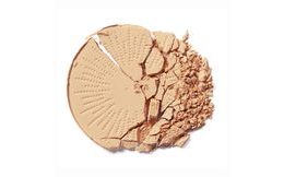 THE SAEM Polvo compacto fijador Saemmul Perfect Pore Pact