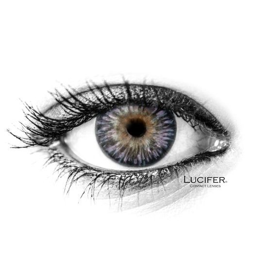 MONET BLACK Coloured Contact Lenses