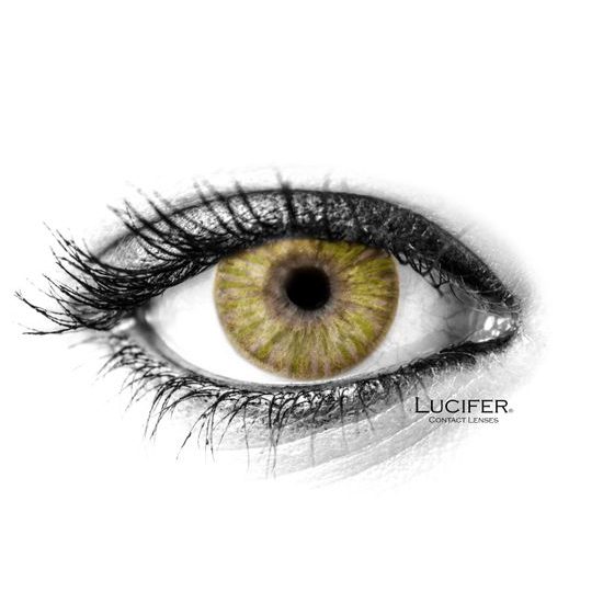 MONET BROWN Coloured Contact Lenses
