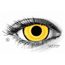 AQUAMAN YELLOW MINI SCLERA Lenti a Contatto Colorate