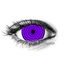 VIOLET RINNEGAN MINI SCLERA barvne leče
