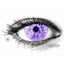 Crazy čočky - WHITE WALKER VIOLET (2 čočky)