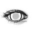 Crazy šošovky - nedioptrické - WHITE MESH R mini sclera (2 šošovky)