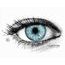 GEMINI ASH BLUE Coloured Contact Lenses