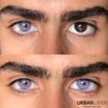 MONET VIOLET Contact Lenses