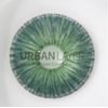 NEW YORK N DEEP GREEN Contact Lenses
