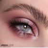 Monet Gray Colored Contact Lenses (1 pair)