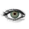 AVATAR GREEN Contact Lenses