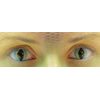 Lizard Contact Lenses (1 pair)