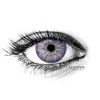 Brooklyn Violet Colored Contact Lenses (1 pair)
