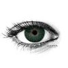 New York N Deep Green Colored Contact Lenses (1 pair)