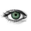 AMAZON GREEN Contact Lenses