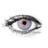 Monet Gray Colored Contact Lenses (1 pair)