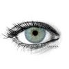 LAS VEGAS JADE GREEN Contact Lenses