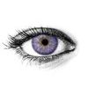 AVATAR VIOLET Contact Lenses
