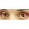 Red Lizard Contact Lenses (1 pair)