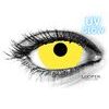 GLOW YELLOW UV MINI SCLERA Contact Lenses