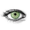 BROOKLYN GREEN Contact Lenses